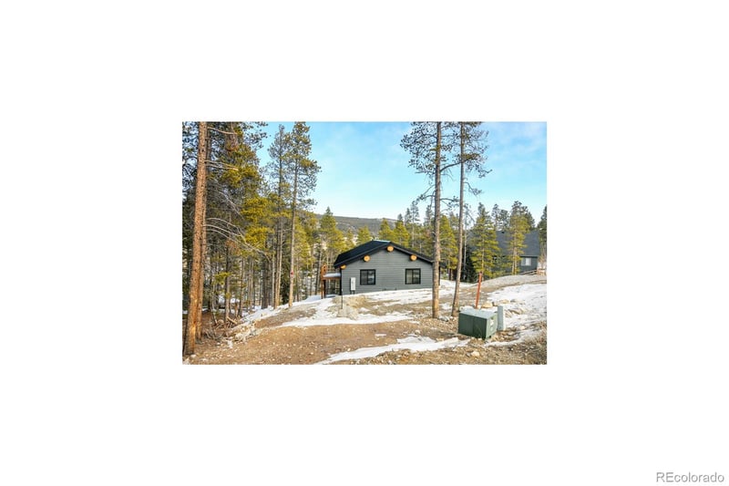 148 Aspen St, Alma, CO 80420