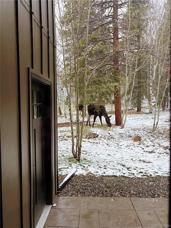 185 Conestoga Rd, Black Hawk, CO 80422
