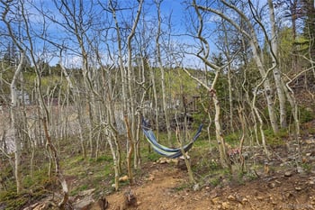 70 Utica St, Ward, CO 80481