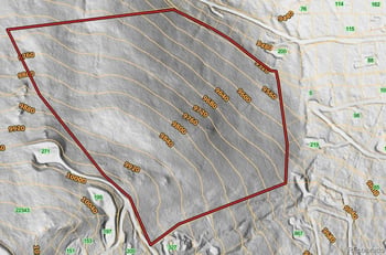 000 Sawmill Ln, Idaho Springs, CO 80452