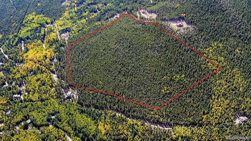 000 Sawmill Ln, Idaho Springs, CO 80452