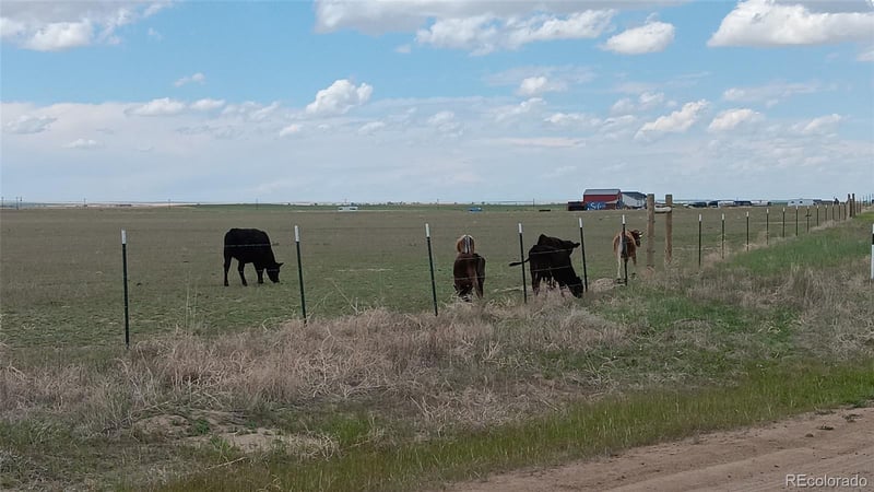 8 Timberlake Ct, Byers, CO 80103