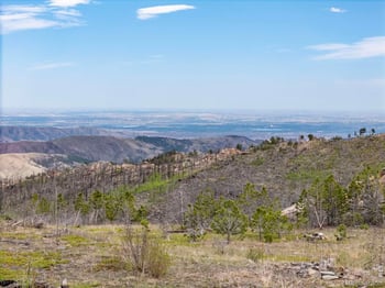 805 Meadows Dr, Drake, CO 80515