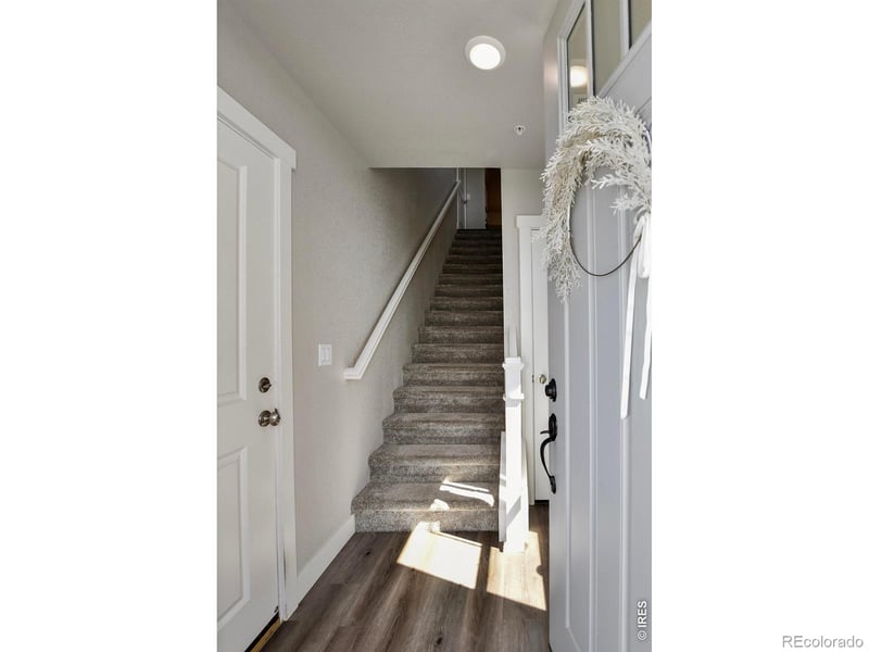 6826 School House Dr #203, Timnath, CO 80547