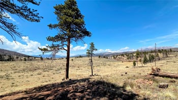 1010 Foy Pl, Fort Garland, CO 81133