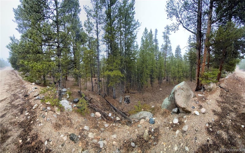 143 Juniper Dr, Twin Lakes, CO 81251