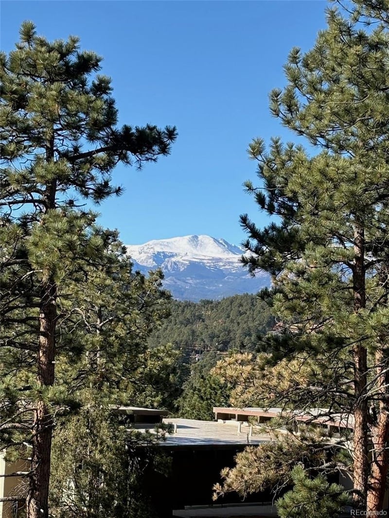 29033 Wild Rose Dr, Evergreen, CO 80439