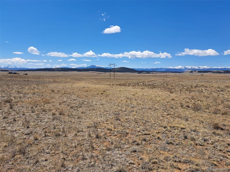 1356 Larimer Rd, Hartsel, CO 80449