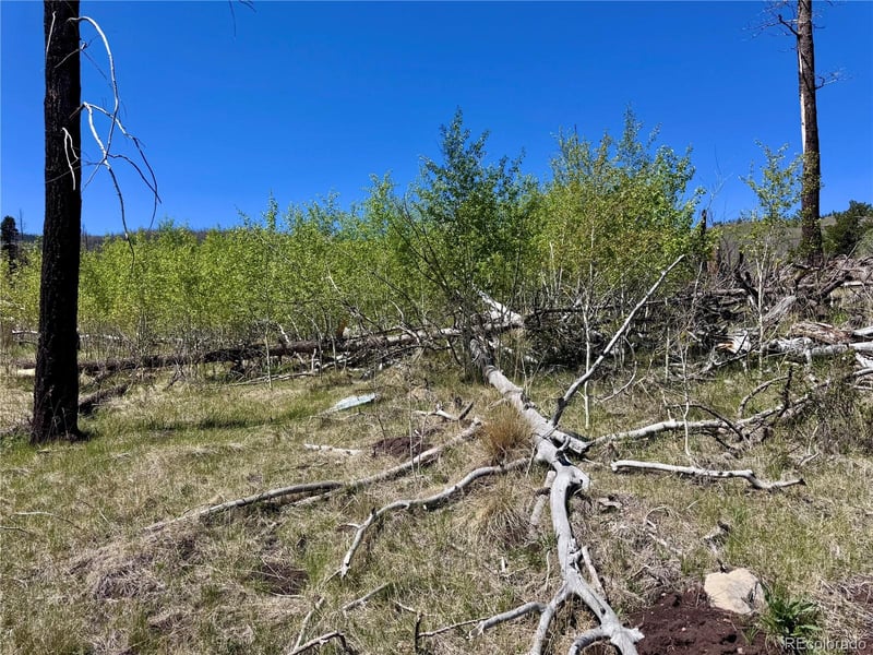 Lot 1005 Foy Pl, Fort Garland, CO 81133