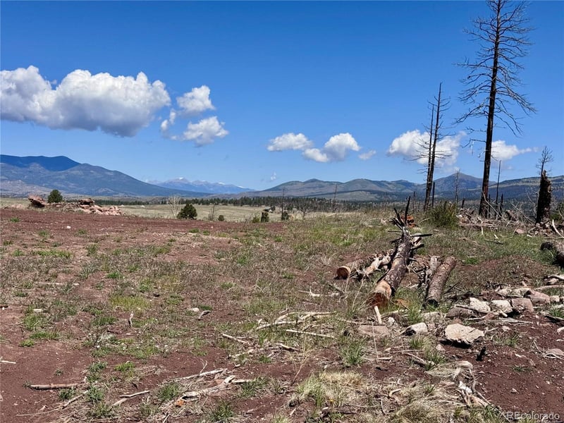 Lot 1005 Foy Pl, Fort Garland, CO 81133