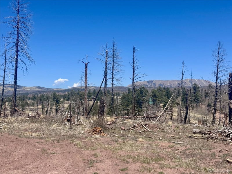 Lot 1005 Foy Pl, Fort Garland, CO 81133