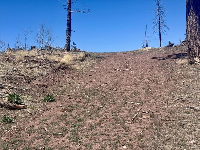 Lot 1005 Foy Pl, Fort Garland, CO 81133
