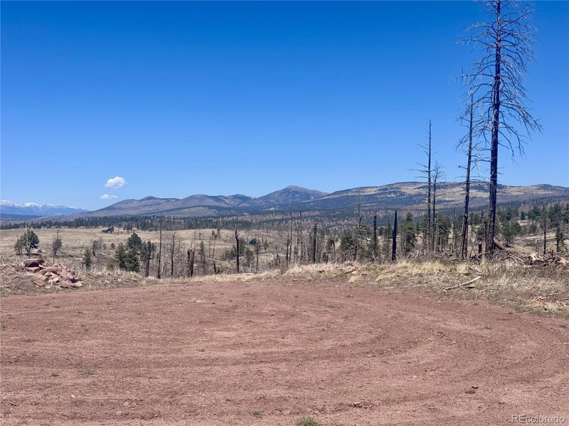 Lot 1005 Foy Pl, Fort Garland, CO 81133
