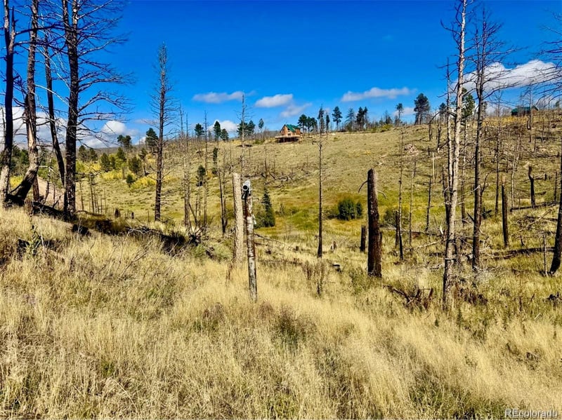 Lot 1005 Foy Pl, Fort Garland, CO 81133