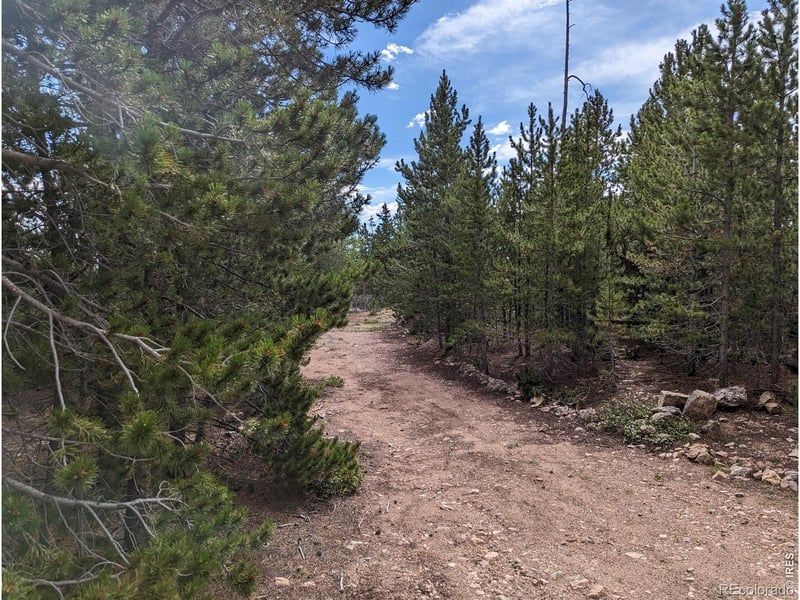 90 Quapaw Ct, Red Feather Lakes, CO 80545