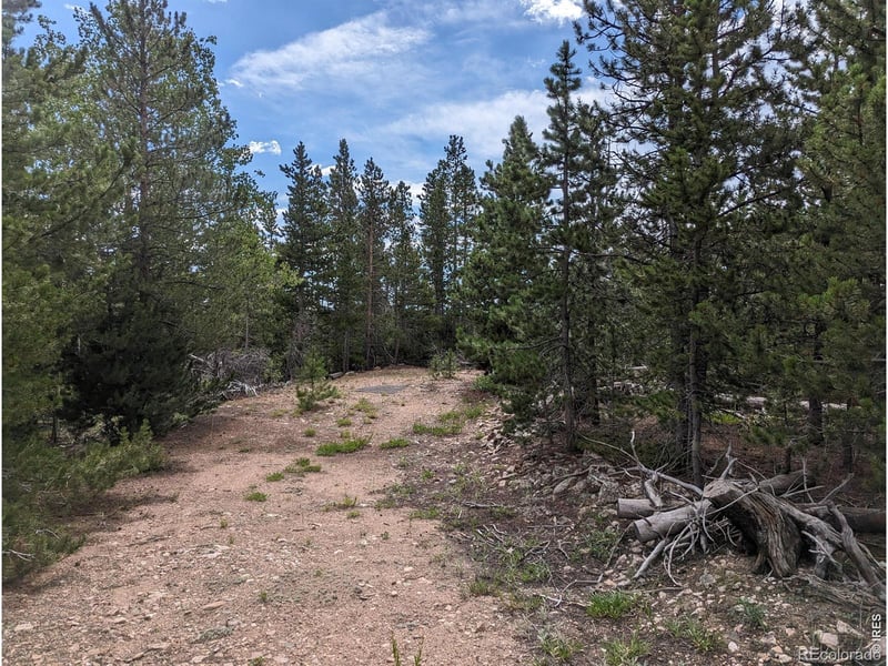 90 Quapaw Ct, Red Feather Lakes, CO 80545