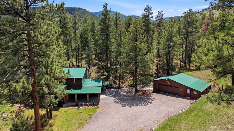 102 Insmont Dr, Bailey, CO 80421