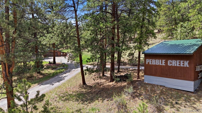 102 Insmont Dr, Bailey, CO 80421