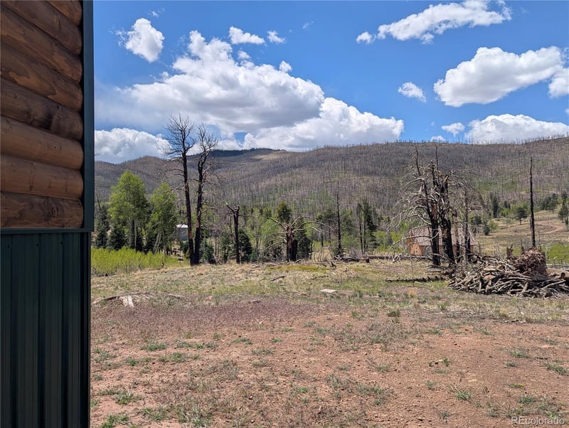 1031 Van Fossan Ln, Fort Garland, CO 81133