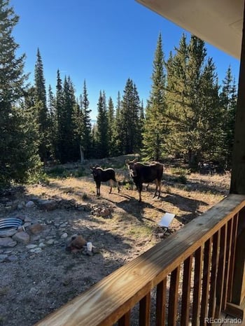 386 Prunes Pl, Fairplay, CO 80440
