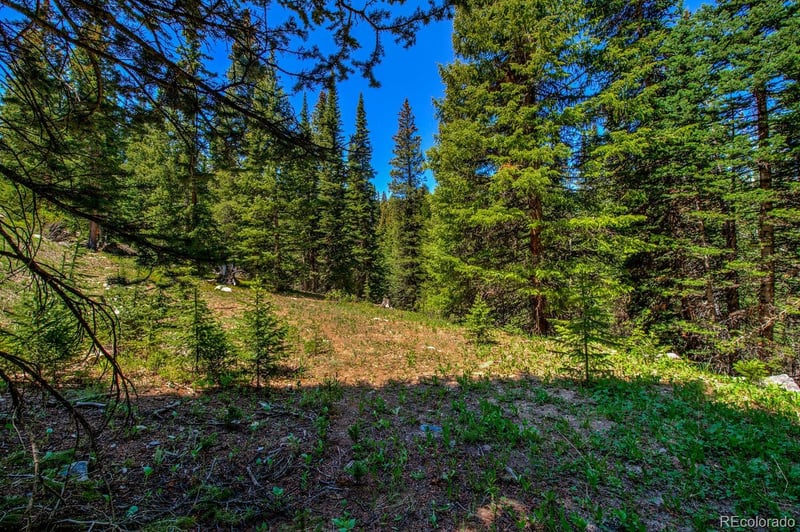 0307 Cr 674 Lot 18, Breckenridge, CO 80424