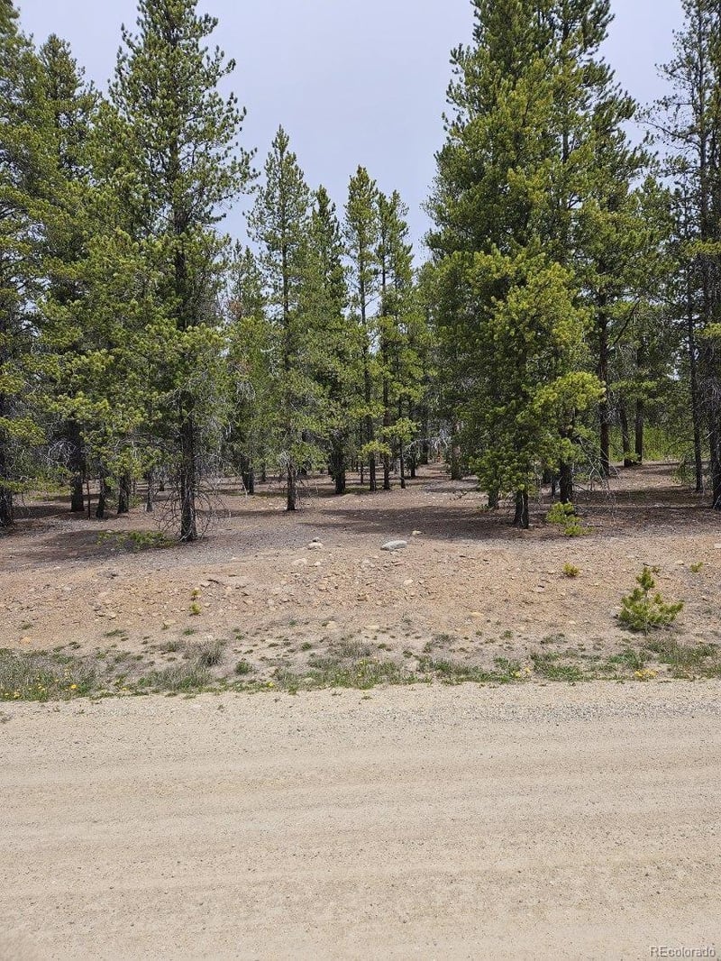 205 Alpine Cirque, Leadville, CO 80461
