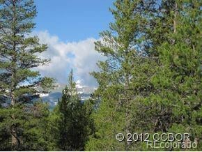 205 Alpine Cirque Lot 22, Leadville, CO 80461