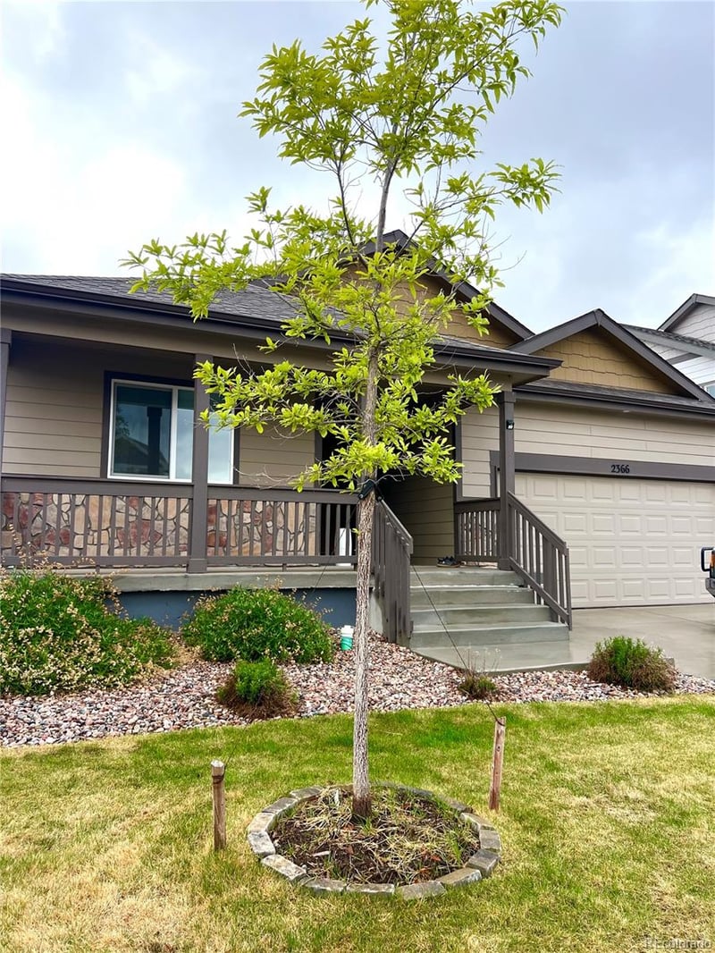 2366 Blissful Ln, Windsor, CO 80550