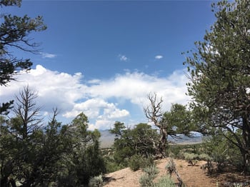 123 Scheffellin , Fort Garland, CO 81133