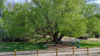 274 Confluence Rd, Salida, CO 81201