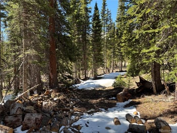 192 Kimmes Ln, Breckenridge, CO 80424