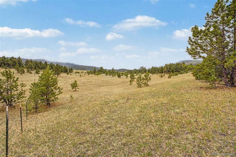 0 Ranger Station Rd, Florissant, CO 80816