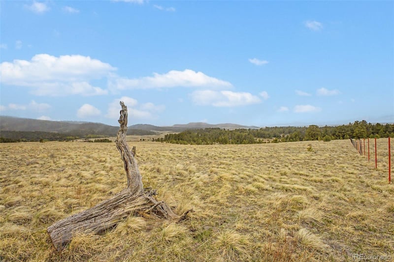 0 Ranger Station Rd, Florissant, CO 80816