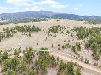 Ranger Station Rd, Florissant, CO 80816