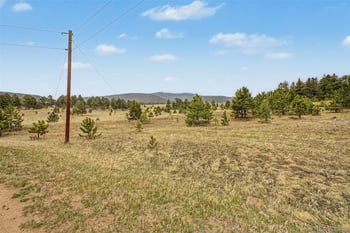 Ranger Station Rd, Florissant, CO 80816