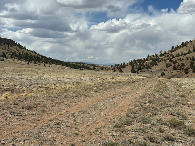 0001 Hote Villa Rd, Hartsel, CO 80449