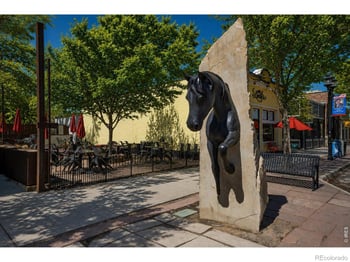 575 Pierce St, Erie, CO 80516