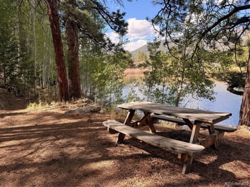 37643 Lake View Dr, Buena Vista, CO 81211