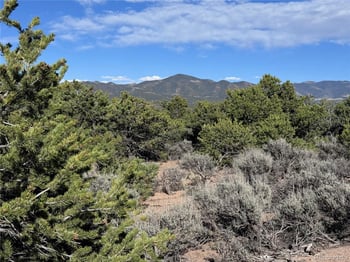 Lot 3292 Geneen Rd, Fort Garland, CO 81133