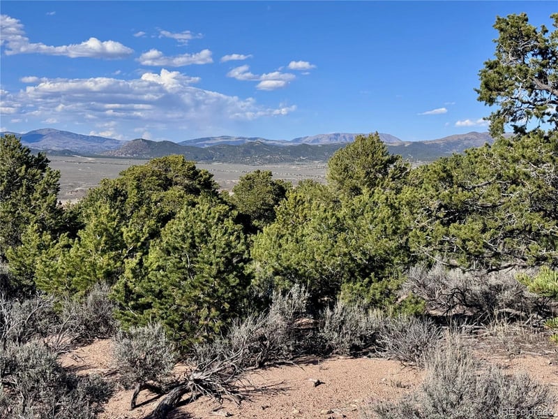 Lot 3292 Geneen Rd, Fort Garland, CO 81133