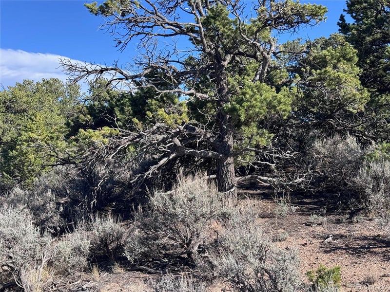 Lot 3292 Geneen Rd, Fort Garland, CO 81133