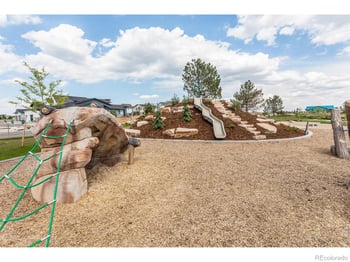 5473 Drehle St, Timnath, CO 80547