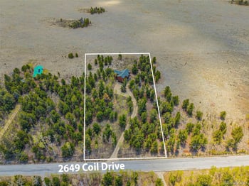2649 Coil Dr, Fairplay, CO 80440