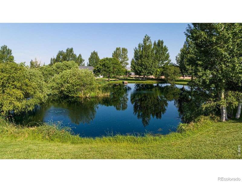 612 County Road 74, Wellington, CO 80549