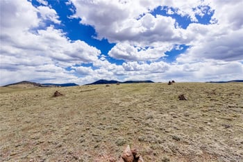151 Black Beaver Cir, Hartsel, CO 80449