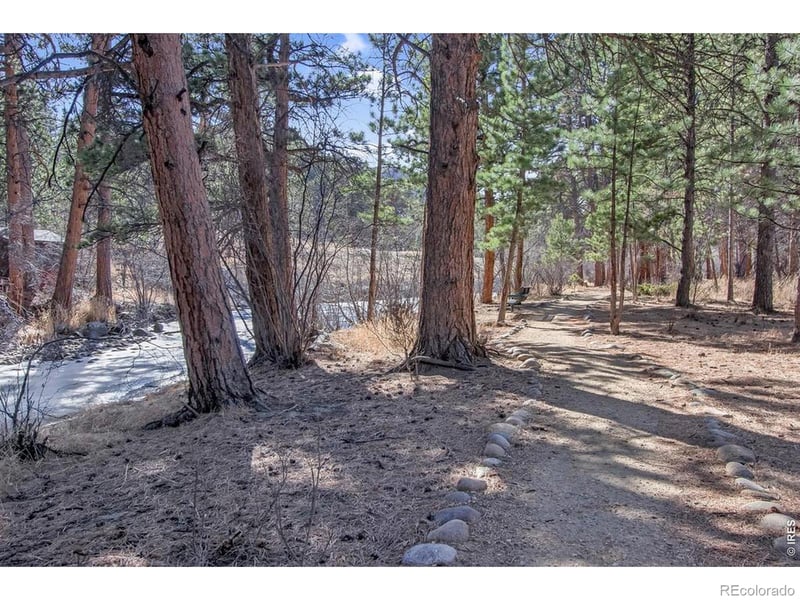 650 Park River Pl, Estes Park, CO 80517