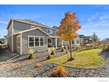 946 Rustling St, Windsor, CO 80550