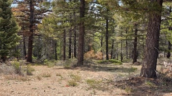 Lot 5825 Covington Rd, Fort Garland, CO 81133