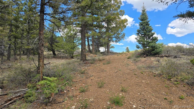 Lot 5825 Covington Rd, Fort Garland, CO 81133