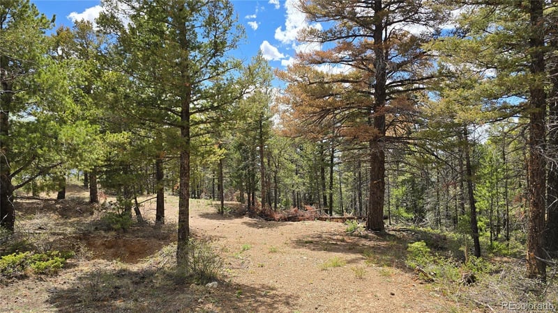 Lot 5825 Covington Rd, Fort Garland, CO 81133